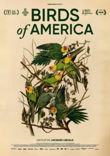 Birds of America Poster